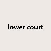 lower court是什么意思