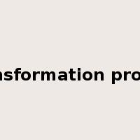 transformation project是什么意思