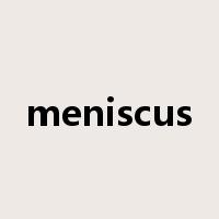 meniscus是什么意思