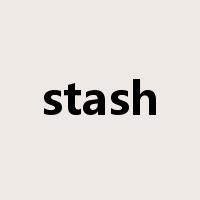 stash是什么意思
