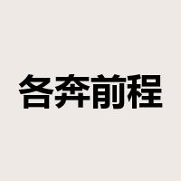 各奔前程是什么意思