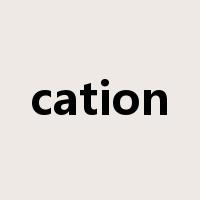 cation是什么意思