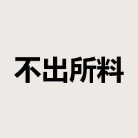 不出所料是什么意思