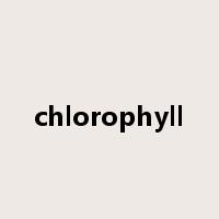 chlorophyll是什么意思