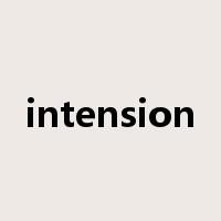 intension是什么意思