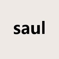 saul是什么意思