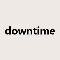 downtime是什么意思