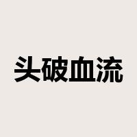 头破血流是什么意思