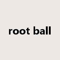 root ball是什么意思