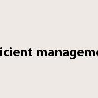 efficient management是什么意思