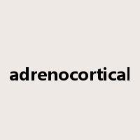 adrenocortical是什么意思