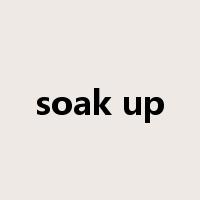 soak up是什么意思