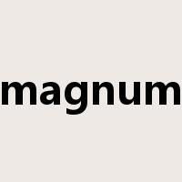 magnum是什么意思