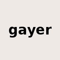 gayer是什么意思