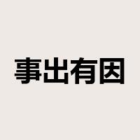 事出有因是什么意思