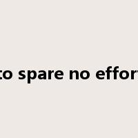to spare no effort是什么意思