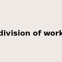 division of work是什么意思