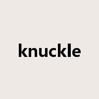 knuckle是什么意思