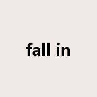 fall in是什么意思