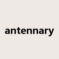 antennary是什么意思