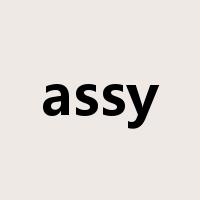 assy是什么意思
