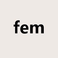 fem是什么意思