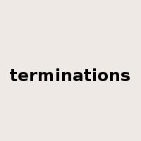 terminations是什么意思