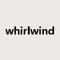 whirlwind是什么意思