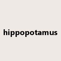 hippopotamus是什么意思