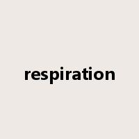 respiration是什么意思
