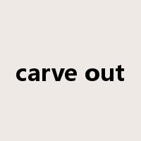 carve out是什么意思
