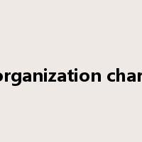 organization chart是什么意思