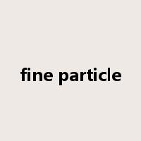 fine particle是什么意思