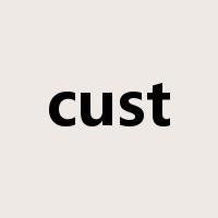cust是什么意思
