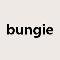 bungie是什么意思