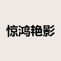 惊鸿艳影是什么意思
