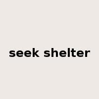 seek shelter是什么意思