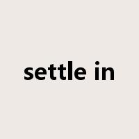 settle in是什么意思