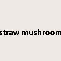 straw mushroom是什么意思