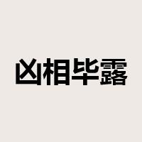 凶相毕露是什么意思