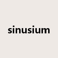 sinusium是什么意思