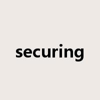 securing是什么意思