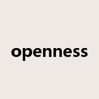openness是什么意思