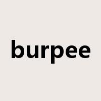 burpee是什么意思