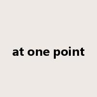 at one point是什么意思