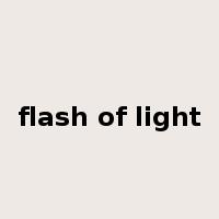 flash of light是什么意思