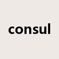 consul是什么意思