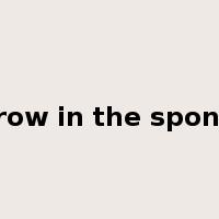 throw in the sponge是什么意思