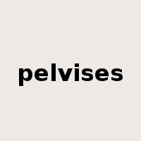 pelvises是什么意思