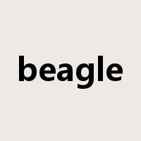 beagle是什么意思